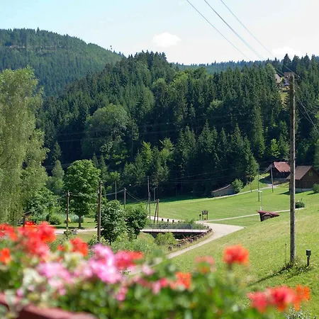 Gaestehaus Herrmann Bad Rippoldsau-Schapbach Exterior photo